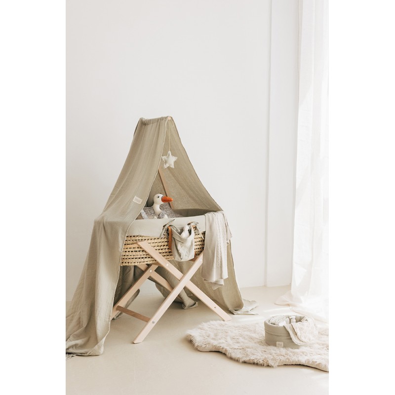 Moses sales basket canopy